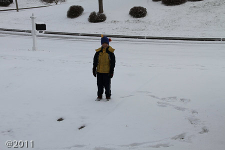 Snowy winter