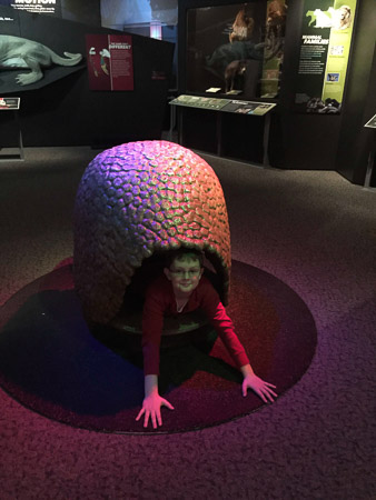 Science museum nature camera fun