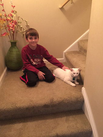 Jonah loves the kitty