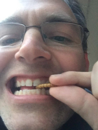 Freeze-dried meal worms and crickets--yummy?...