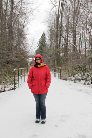 Snow day/ice storm