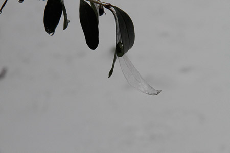 Snow day/ice storm