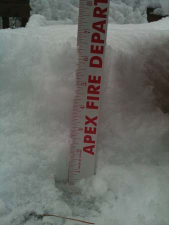 IMG_0768