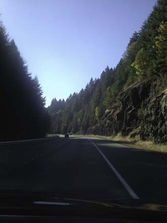 IMG_3869