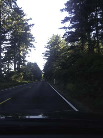 IMG_3882