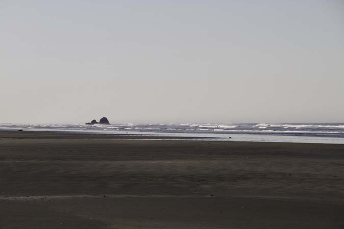 _MG_7353