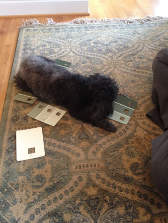 Farley helping pick out colors for the music room