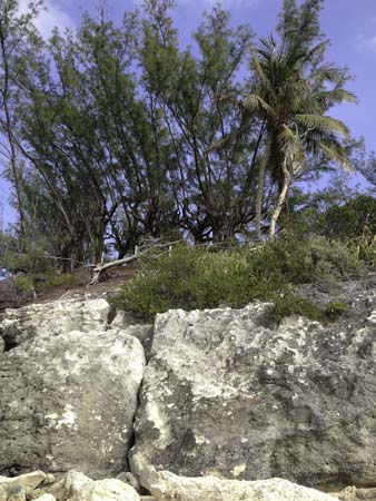 IMG_0327