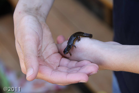 Ania and Ella's creek finds