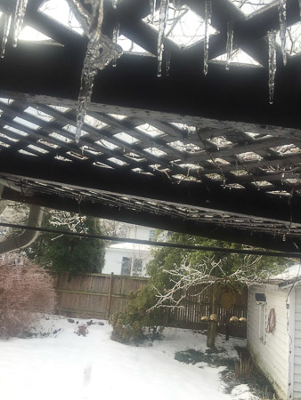 Ice storm on Linden Street