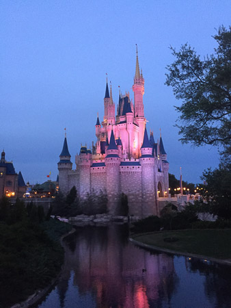 Magic Kingdom 