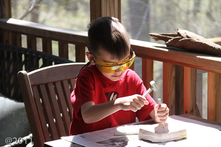 Paleontologist Jonah