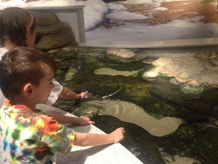 Spring break day trip to Aquarium and beach