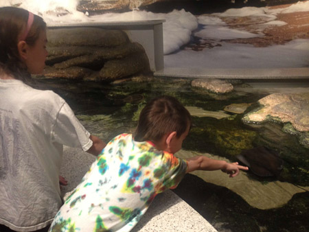 Spring break day trip to Aquarium and beach