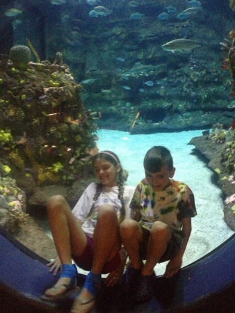 Spring break day trip to Aquarium and beach