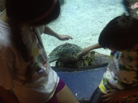 Spring break day trip to Aquarium and beach