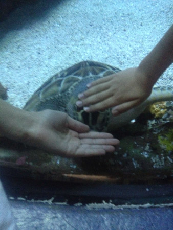 Spring break day trip to Aquarium and beach