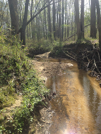 spring on Beaver Creek