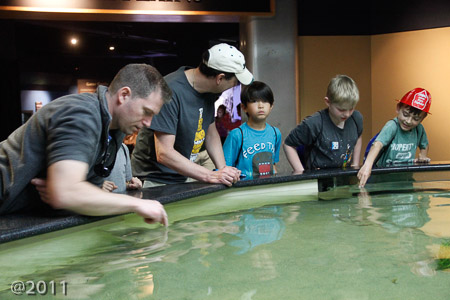 Y Guides trip to Topsail