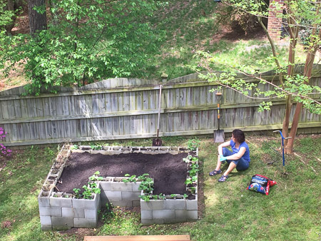 getting the garden ready