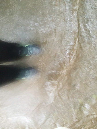 Heavy rains and flooded greenways