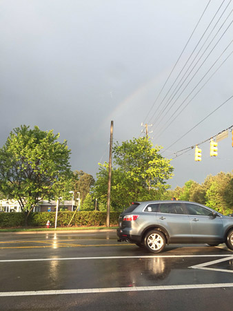 Heavy rains and flooded greenways