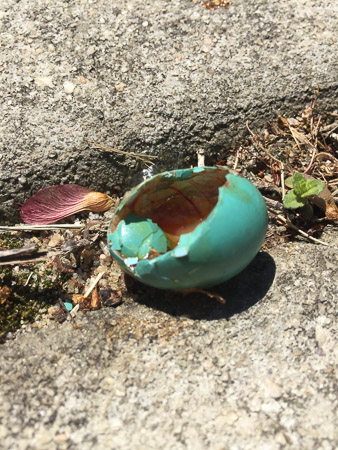 nature is hard