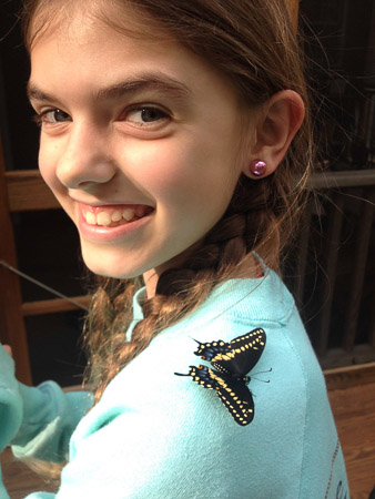 Butterflies that made it through the winter!