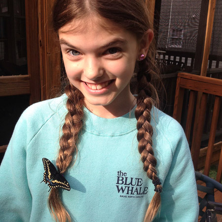 Butterflies that made it through the winter!