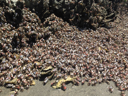 Memorial Day at the beach