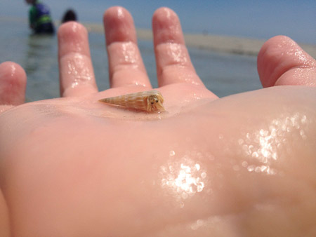 Memorial Day at the beach