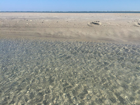 Memorial Day beach trip with Warren cousins  