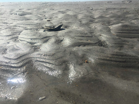 Memorial Day beach trip with Warren cousins  