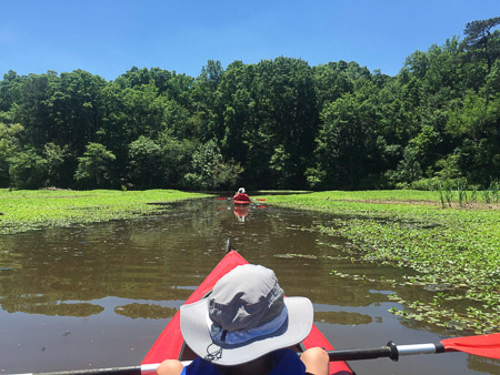 Kayaking on Lake Raleigh