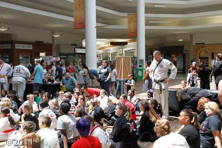 Board Break-a-Thon  at Cary Town Center