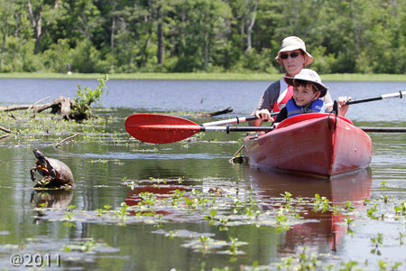Kayaking on Lake Raleigh