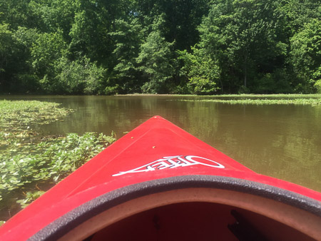 Lake Raleigh