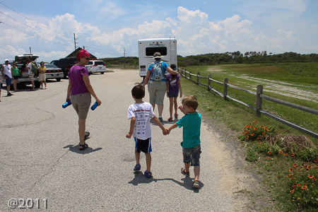 Pea Island Nature Preserve