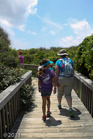 Pea Island Nature Preserve