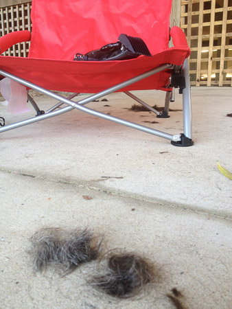 Annual MOHAWK at the beach