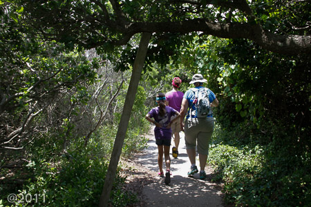 Pea Island Nature Preserve