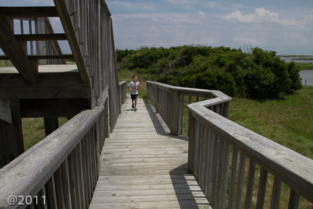 Pea Island Nature Preserve