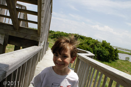 Pea Island Nature Preserve