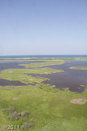 View from the top