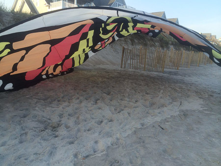 Beach week