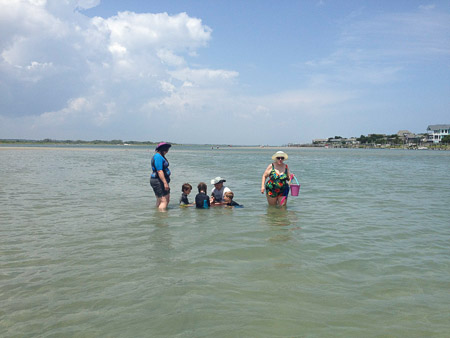 searching for sanddollars