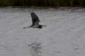 _MG_6055