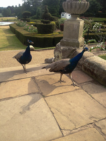 Warwick Castle