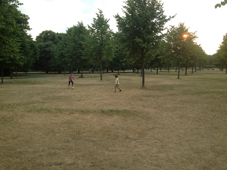 Another Hyde Park evening