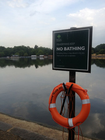 Hyde Park Run Pictures